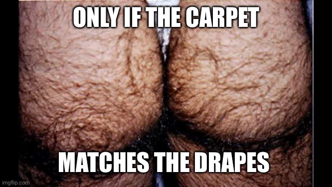hairy ass | ONLY IF THE CARPET MATCHES THE DRAPES | image tagged in hairy ass | made w/ Imgflip meme maker