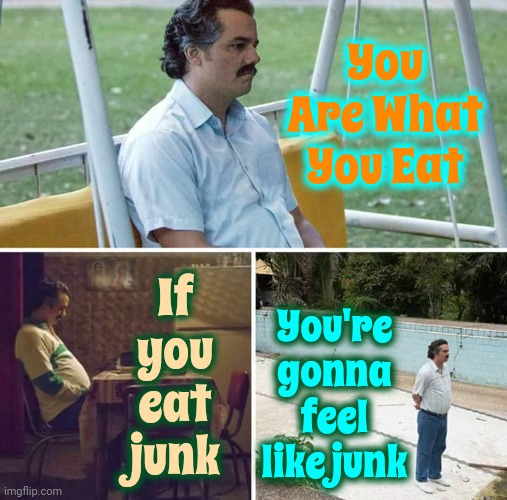 You Are What You Eat | You Are What You Eat; If you eat junk; You're gonna feel like junk | image tagged in memes,sad pablo escobar,eating healthy,junk food,exercise,healthy | made w/ Imgflip meme maker