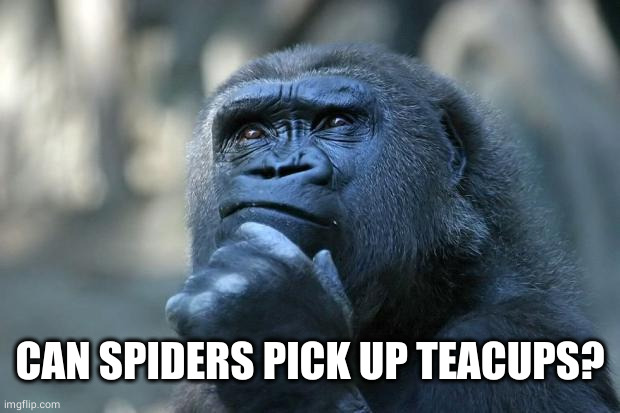 Deep Thoughts | CAN SPIDERS PICK UP TEACUPS? | image tagged in deep thoughts | made w/ Imgflip meme maker