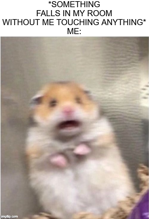 Scared Hamster | *SOMETHING FALLS IN MY ROOM WITHOUT ME TOUCHING ANYTHING*
ME: | image tagged in scared hamster | made w/ Imgflip meme maker