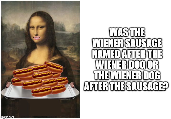 wienersss | WAS THE WIENER SAUSAGE NAMED AFTER THE WIENER DOG OR THE WIENER DOG AFTER THE SAUSAGE? | image tagged in wiener,funny,memes | made w/ Imgflip meme maker
