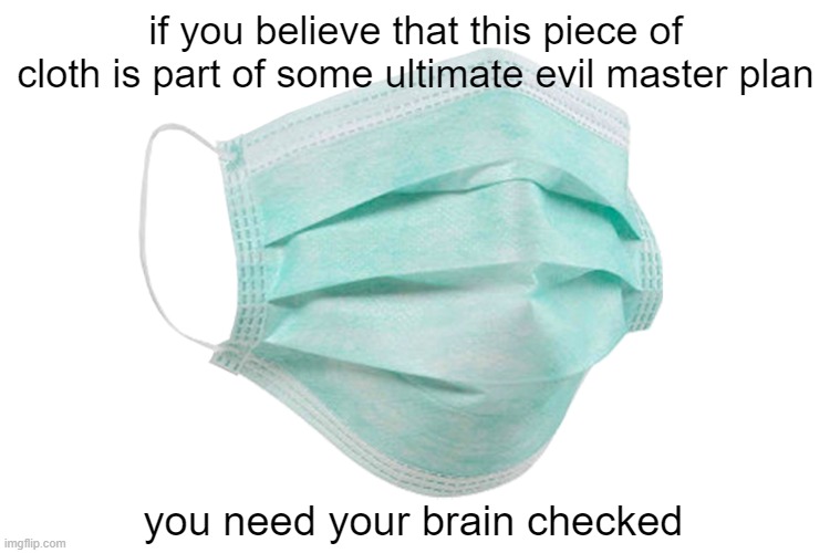 A piece of cloth and two strings: the ultimate tool for world domination | if you believe that this piece of cloth is part of some ultimate evil master plan; you need your brain checked | image tagged in face mask | made w/ Imgflip meme maker