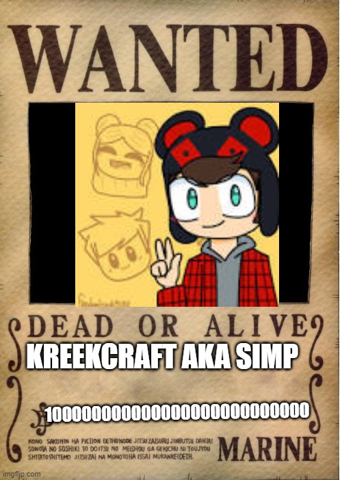 a | KREEKCRAFT AKA SIMP; 100000000000000000000000000 | image tagged in one piece wanted poster template | made w/ Imgflip meme maker