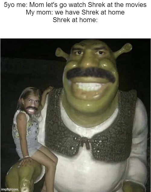 "what do you mean that's a ripoff" | 5yo me: Mom let's go watch Shrek at the movies
My mom: we have Shrek at home
Shrek at home: | image tagged in shrek,steve harvey | made w/ Imgflip meme maker