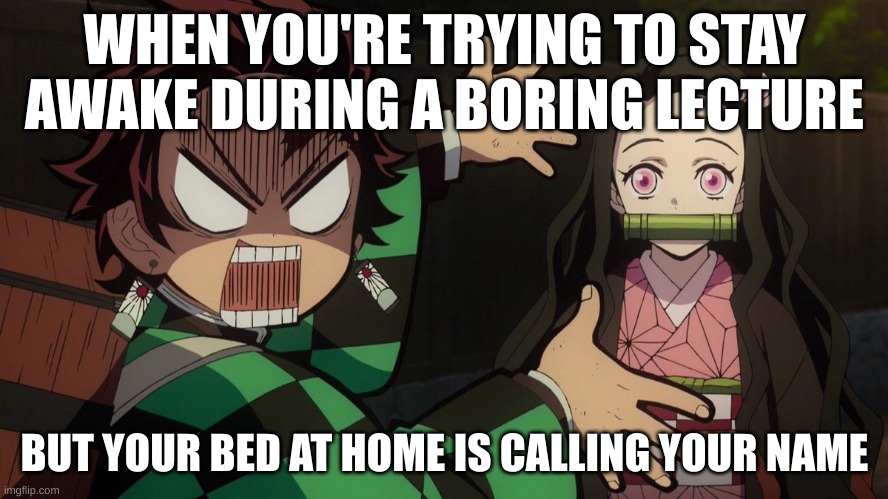 comment school sucks | WHEN YOU'RE TRYING TO STAY AWAKE DURING A BORING LECTURE; BUT YOUR BED AT HOME IS CALLING YOUR NAME | image tagged in our nezuko | made w/ Imgflip meme maker