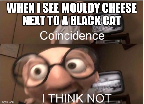 Coincidence, I THINK NOT | WHEN I SEE MOULDY CHEESE
NEXT TO A BLACK CAT | image tagged in coincidence i think not | made w/ Imgflip meme maker