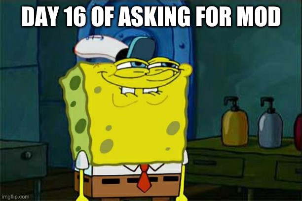 Don't You Squidward | DAY 16 OF ASKING FOR MOD | image tagged in memes,don't you squidward | made w/ Imgflip meme maker