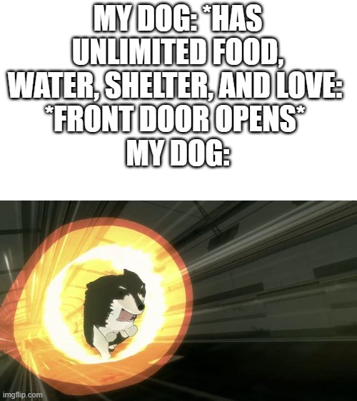 rwby | MY DOG: *HAS UNLIMITED FOOD, WATER, SHELTER, AND LOVE: 
*FRONT DOOR OPENS* 
MY DOG: | image tagged in rwby | made w/ Imgflip meme maker