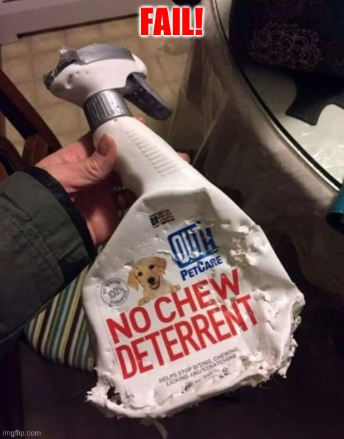 FAIL! | image tagged in dog chewed bottle | made w/ Imgflip meme maker