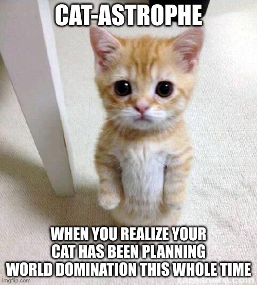Cute Cat Meme | CAT-ASTROPHE; WHEN YOU REALIZE YOUR CAT HAS BEEN PLANNING WORLD DOMINATION THIS WHOLE TIME | image tagged in memes,cute cat | made w/ Imgflip meme maker