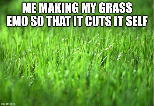 grass is greener | ME MAKING MY GRASS EMO SO THAT IT CUTS IT SELF | image tagged in grass is greener | made w/ Imgflip meme maker