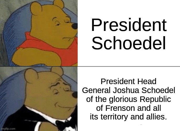 Yes this is my full title | President Schoedel; President Head General Joshua Schoedel of the glorious Republic of Frenson and all its territory and allies. | image tagged in memes,tuxedo winnie the pooh | made w/ Imgflip meme maker