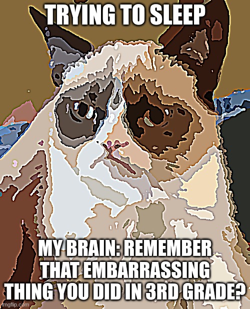 Grumpy Cat | TRYING TO SLEEP; MY BRAIN: REMEMBER THAT EMBARRASSING THING YOU DID IN 3RD GRADE? | image tagged in memes,grumpy cat | made w/ Imgflip meme maker