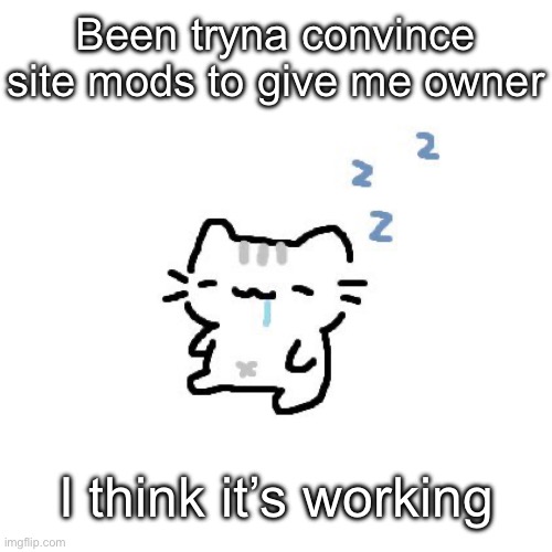 Basil | Been tryna convince site mods to give me owner; I think it’s working | image tagged in basil | made w/ Imgflip meme maker