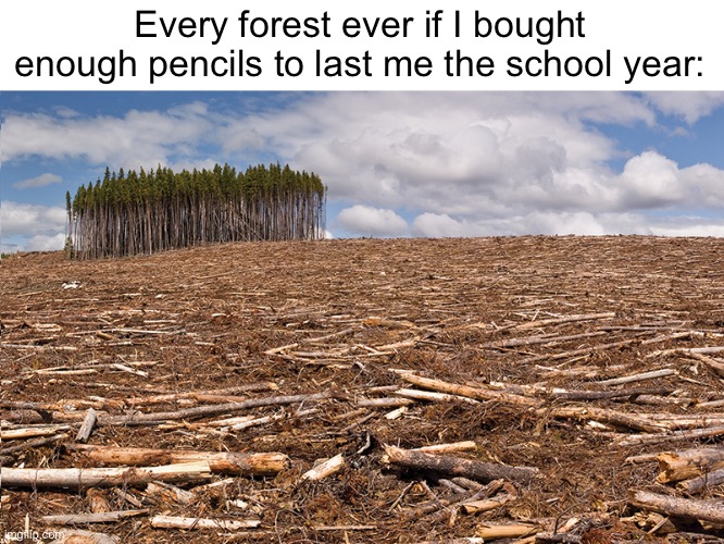 You can never have enough | Every forest ever if I bought enough pencils to last me the school year: | image tagged in school,pencils | made w/ Imgflip meme maker
