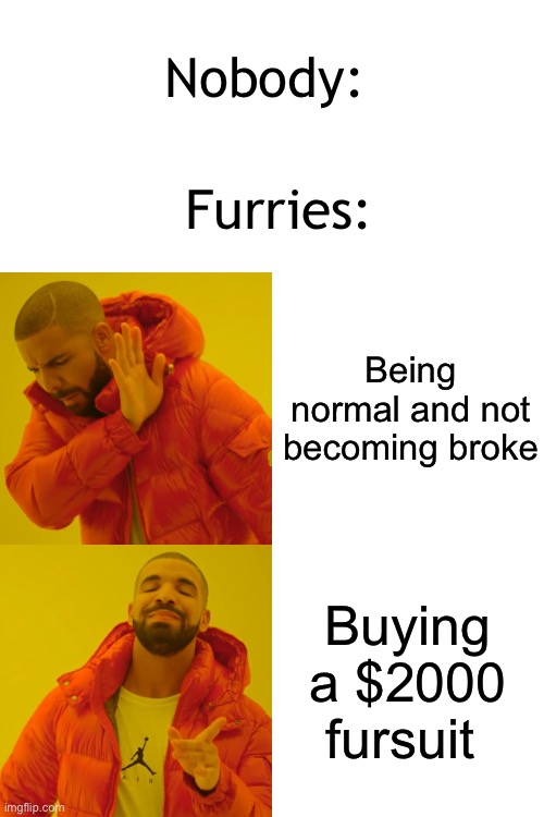Am I right? | Nobody:; Furries:; Being normal and not becoming broke; Buying a $2000 fursuit | image tagged in memes,drake hotline bling | made w/ Imgflip meme maker