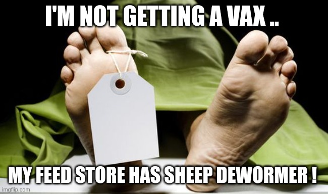 vax | I'M NOT GETTING A VAX .. MY FEED STORE HAS SHEEP DEWORMER ! | image tagged in toe tag,antivax | made w/ Imgflip meme maker