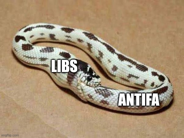 LIBS; ANTIFA | image tagged in funny memes | made w/ Imgflip meme maker