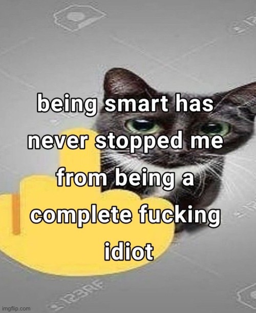 Being both smart and dumb is the shit | made w/ Imgflip meme maker
