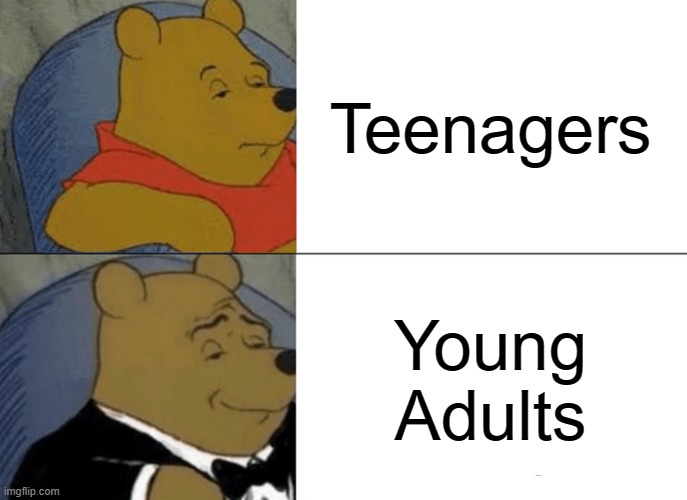 Young Adults is better | Teenagers; Young Adults | image tagged in memes,tuxedo winnie the pooh | made w/ Imgflip meme maker