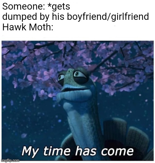 Wenk | Someone: *gets dumped by his boyfriend/girlfriend
Hawk Moth: | image tagged in my time has come,miraculous ladybug | made w/ Imgflip meme maker