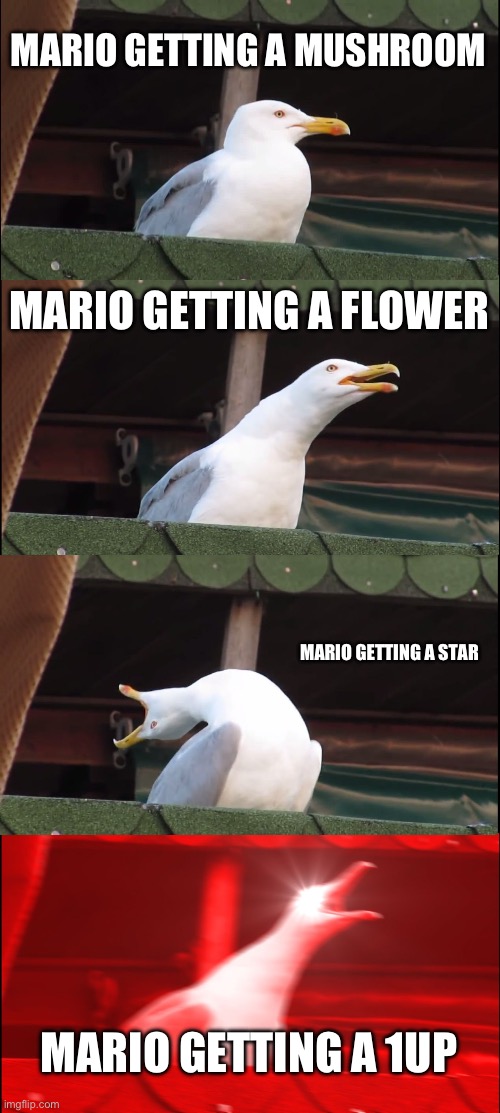Inhaling Seagull | MARIO GETTING A MUSHROOM; MARIO GETTING A FLOWER; MARIO GETTING A STAR; MARIO GETTING A 1UP | image tagged in memes,inhaling seagull | made w/ Imgflip meme maker