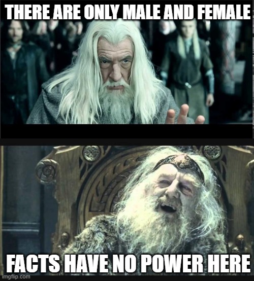 You have no power here | THERE ARE ONLY MALE AND FEMALE; FACTS HAVE NO POWER HERE | image tagged in you have no power here | made w/ Imgflip meme maker