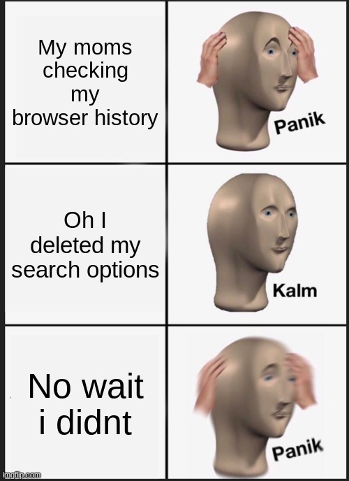 When my mom checks my browser history | My moms checking my browser history; Oh I deleted my search options; No wait i didnt | image tagged in memes,panik kalm panik,browser history,mom | made w/ Imgflip meme maker