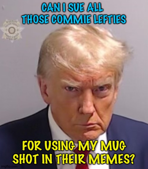 Philosophical Law Question | CAN I SUE ALL 
THOSE COMMIE LEFTIES; FOR USING MY MUG SHOT IN THEIR MEMES? | image tagged in donald trump mugshot | made w/ Imgflip meme maker