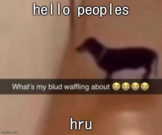 What's my blud waffling about | hello peoples; hru | image tagged in what's my blud waffling about | made w/ Imgflip meme maker
