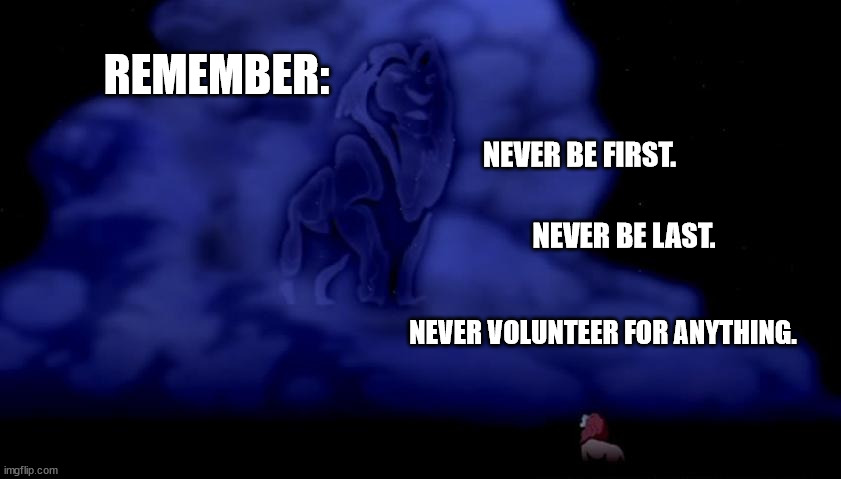 Advice That Has Served Me Well In Business, And In Life | REMEMBER:; NEVER BE FIRST. NEVER BE LAST. NEVER VOLUNTEER FOR ANYTHING. | image tagged in remember who you are,life advice,humor,funny | made w/ Imgflip meme maker