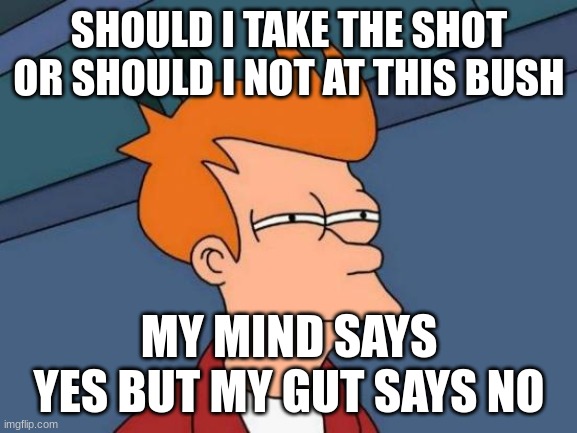 Futurama Fry Meme | SHOULD I TAKE THE SHOT OR SHOULD I NOT AT THIS BUSH; MY MIND SAYS YES BUT MY GUT SAYS NO | image tagged in memes,futurama fry | made w/ Imgflip meme maker
