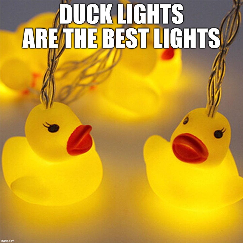 DUCK LIGHTS ARE THE BEST LIGHTS | made w/ Imgflip meme maker