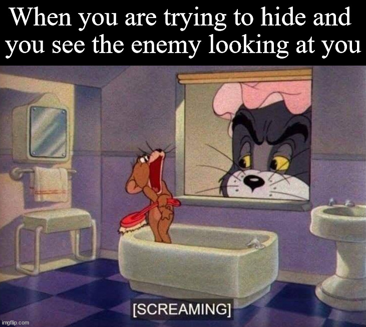 When you are trying to hide and 
you see the enemy looking at you | image tagged in gaming | made w/ Imgflip meme maker