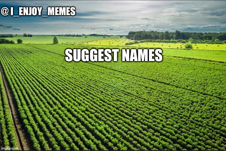 I_enjoy_memes_template | SUGGEST NAMES | image tagged in i_enjoy_memes_template | made w/ Imgflip meme maker