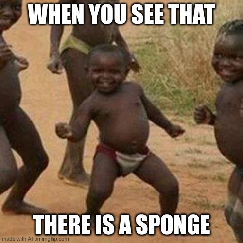 :0 Sponge | WHEN YOU SEE THAT; THERE IS A SPONGE | image tagged in memes,third world success kid | made w/ Imgflip meme maker