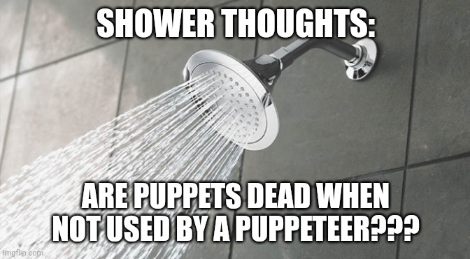 Dead puppets | SHOWER THOUGHTS:; ARE PUPPETS DEAD WHEN NOT USED BY A PUPPETEER??? | image tagged in shower thoughts | made w/ Imgflip meme maker