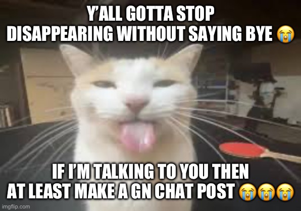 Cat | Y’ALL GOTTA STOP DISAPPEARING WITHOUT SAYING BYE 😭; IF I’M TALKING TO YOU THEN AT LEAST MAKE A GN CHAT POST 😭😭😭 | image tagged in cat | made w/ Imgflip meme maker