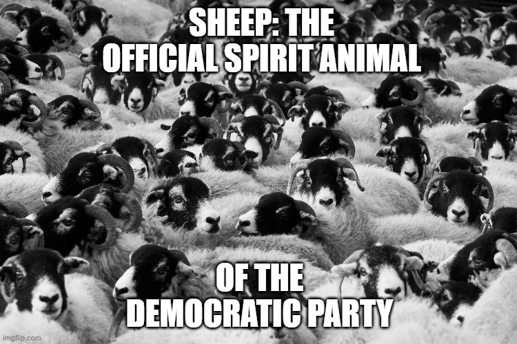 Democratic Spirit Animal | SHEEP: THE OFFICIAL SPIRIT ANIMAL; OF THE DEMOCRATIC PARTY | image tagged in democratic spirit animal | made w/ Imgflip meme maker