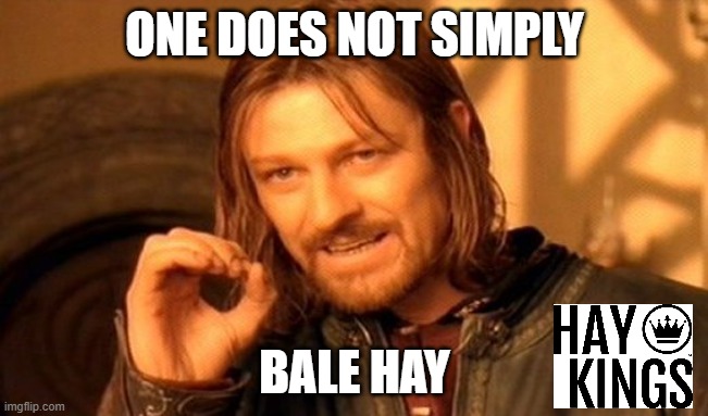 Bale Hay | ONE DOES NOT SIMPLY; BALE HAY | image tagged in memes,one does not simply | made w/ Imgflip meme maker