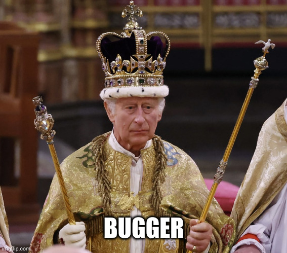 king Charles | BUGGER | image tagged in king charles | made w/ Imgflip meme maker