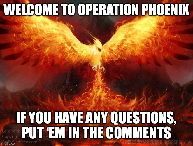 Welcome to Operation Phoenix | WELCOME TO OPERATION PHOENIX; IF YOU HAVE ANY QUESTIONS, PUT ‘EM IN THE COMMENTS | image tagged in ft mac phoenix | made w/ Imgflip meme maker