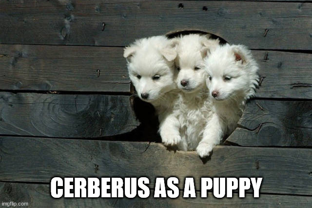 CERBERUS AS A PUPPY | image tagged in dogs | made w/ Imgflip meme maker