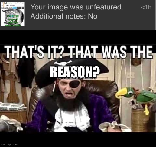 . | REASON? | image tagged in that's it that's was the meme,patchy the pirate that's it | made w/ Imgflip meme maker