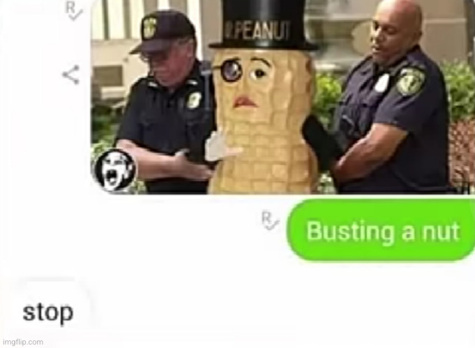 emotional or physical pain? | image tagged in nuts,what the hell,funny texts,funny,texts,arrested | made w/ Imgflip meme maker