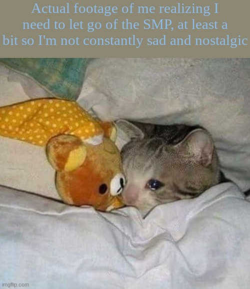 i might have to bury my stuffed plushy child, a pig in a bee costumed named Thomas | Actual footage of me realizing I need to let go of the SMP, at least a bit so I'm not constantly sad and nostalgic | image tagged in crying cat | made w/ Imgflip meme maker