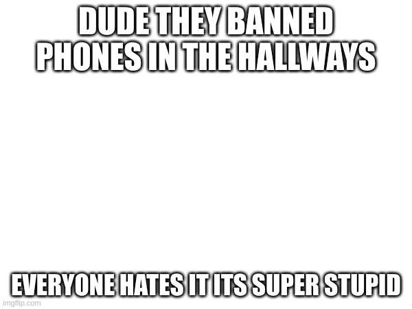 stupid | DUDE THEY BANNED PHONES IN THE HALLWAYS; EVERYONE HATES IT ITS SUPER STUPID | image tagged in phones school | made w/ Imgflip meme maker