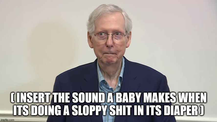 ( INSERT THE SOUND A BABY MAKES WHEN ITS DOING A SLOPPY SHIT IN ITS DIAPER ) | made w/ Imgflip meme maker