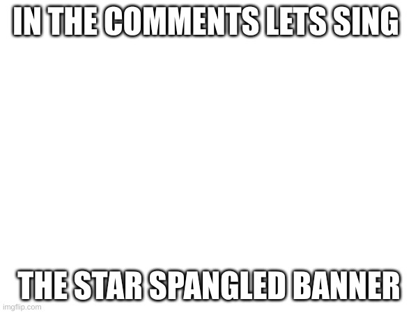 do it | IN THE COMMENTS LETS SING; THE STAR SPANGLED BANNER | image tagged in comment | made w/ Imgflip meme maker