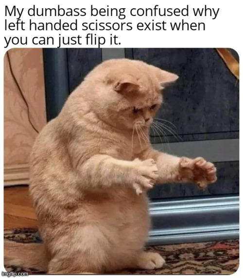 image tagged in memes | made w/ Imgflip meme maker